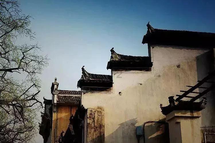 【两会＠你】助推黑龙江冰雪旅游可持续发展 代表委员出实招